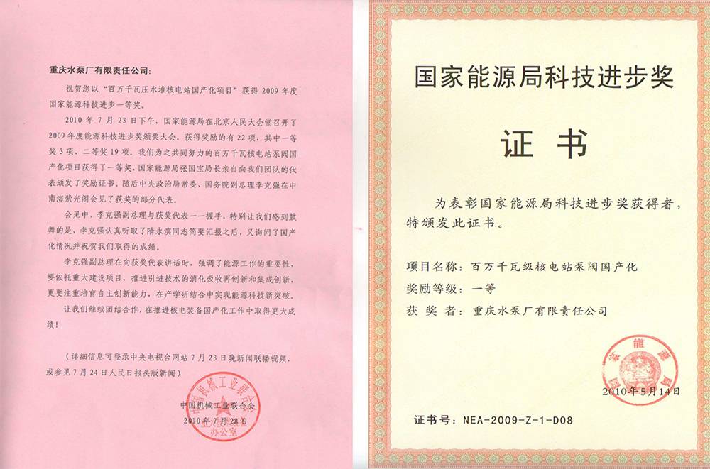 国家能源局科技前进奖一等奖（百万千瓦级核电站泵阀国产化）_资质声誉_关于1XBET_1XBET